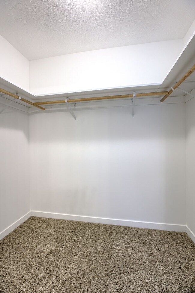 Building Photo - 3 Bedroom Bellevue Home!!