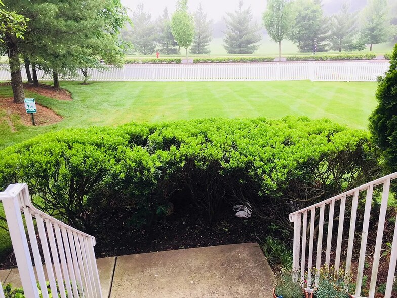 View from porch - 137 Salem Rd