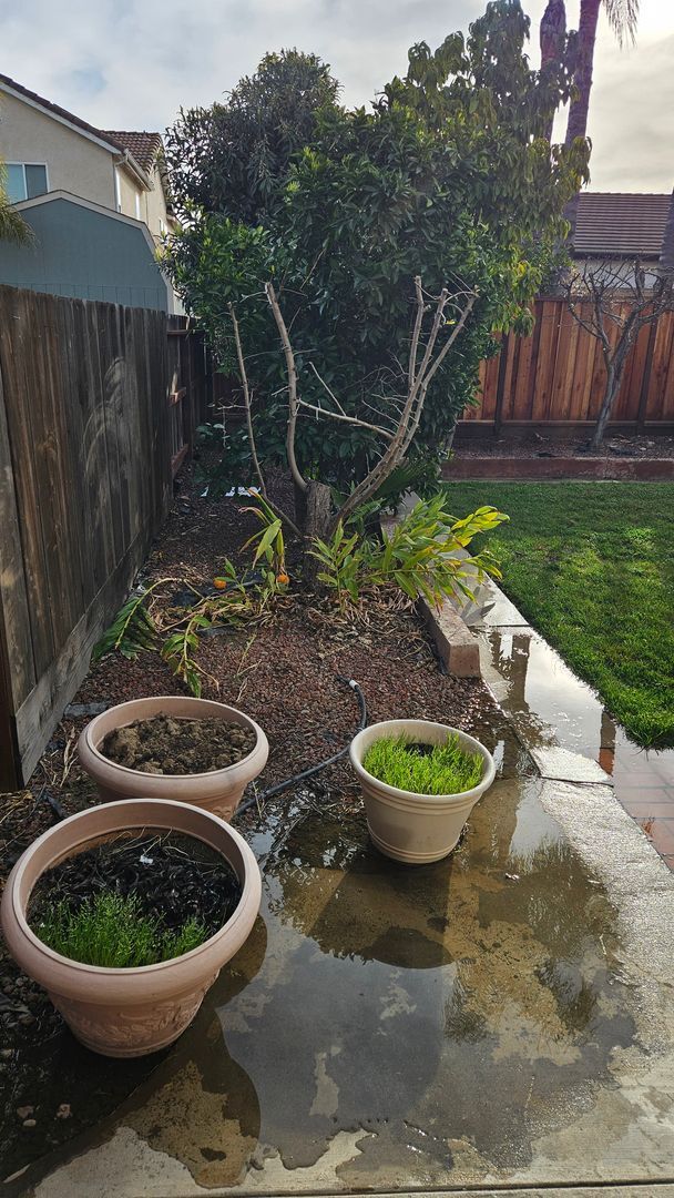 Building Photo - Large Six bedroom home for rent.