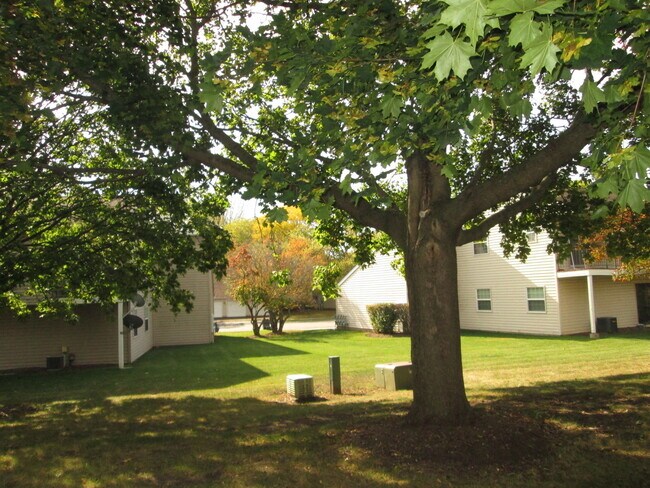 Building Photo - 557 E Shag Bark Ln