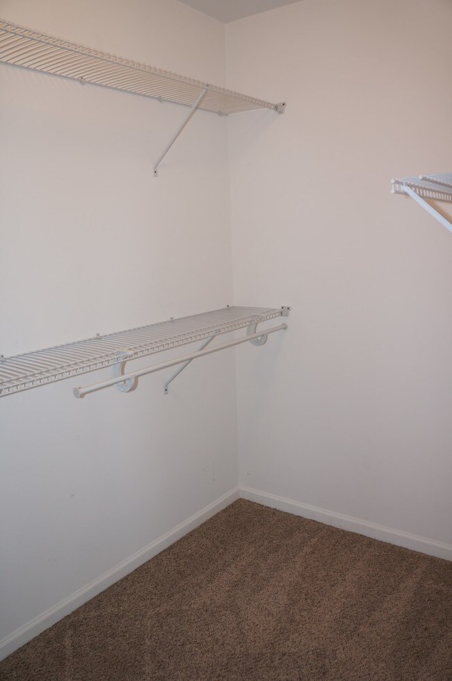 Building Photo - 693 Savannah Ln