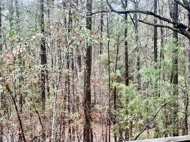 Building Photo - 95 Oakwood Dr