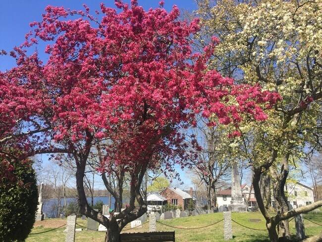 Building Photo - 18 Gould St