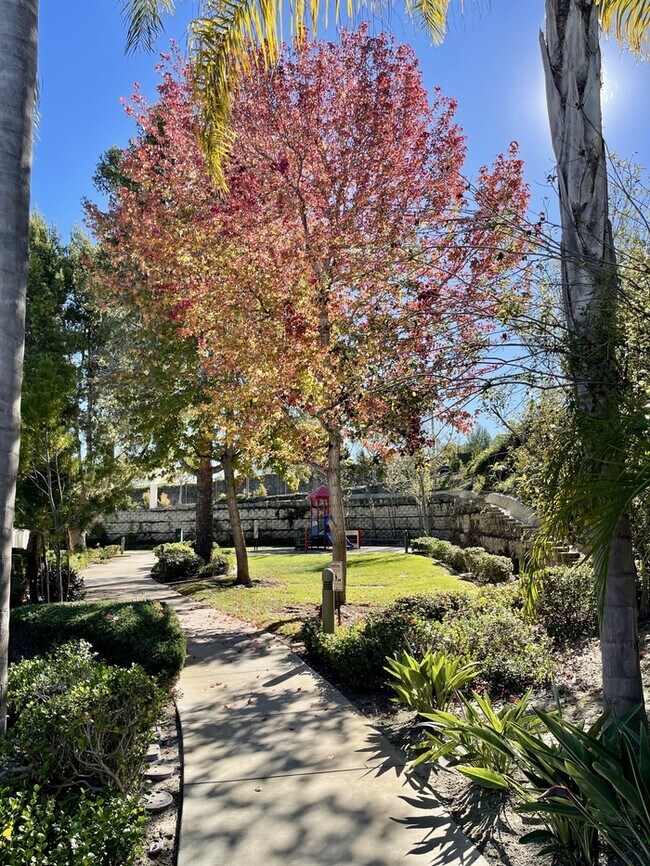 Building Photo - Codorniz Way