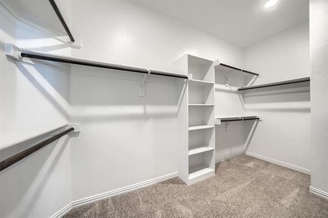 Building Photo - 1809 Ordonez Dr