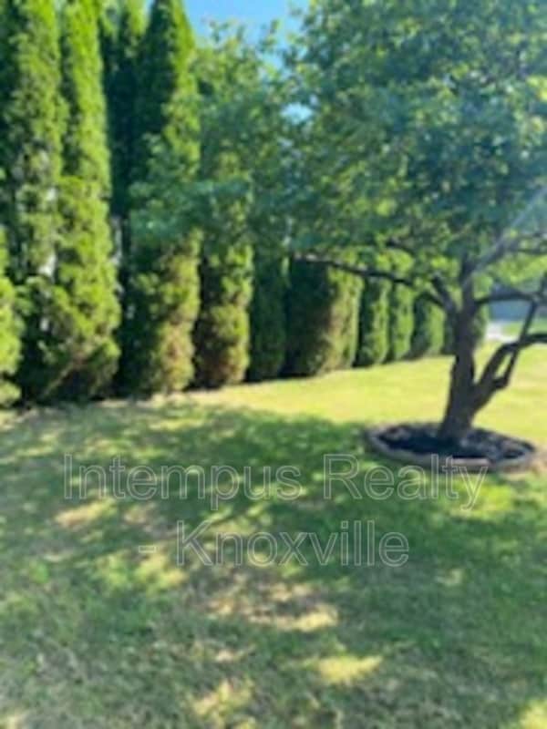 Building Photo - 6517 Bay Cir Dr