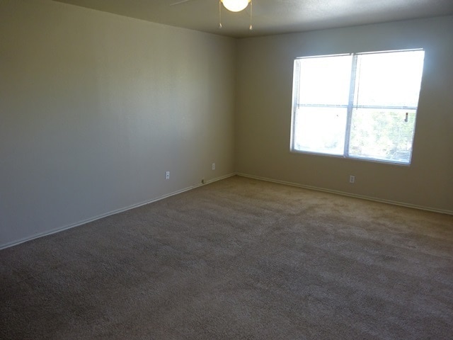 Building Photo - 3638 Candlehead Ln