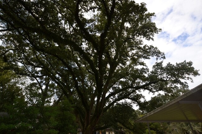 Building Photo - Location!  Location!  Adorable 2 bedroom, 1 bath home near Zachary High