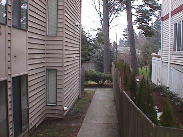 Path to Yard - 12044 15th Ave NE
