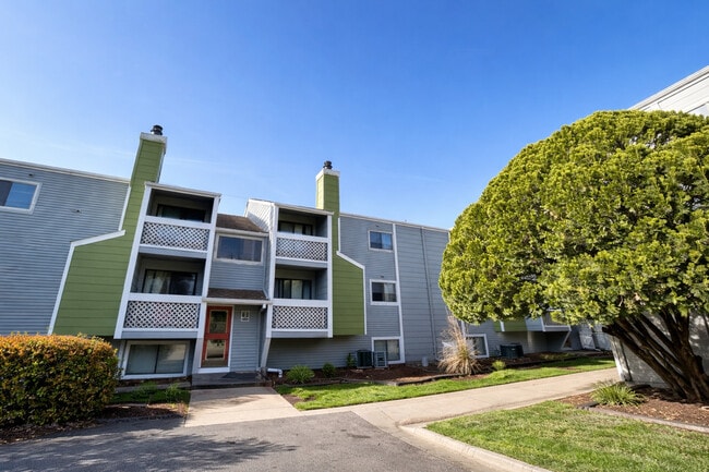 Building Photo - Village Park at Cedarbrooke