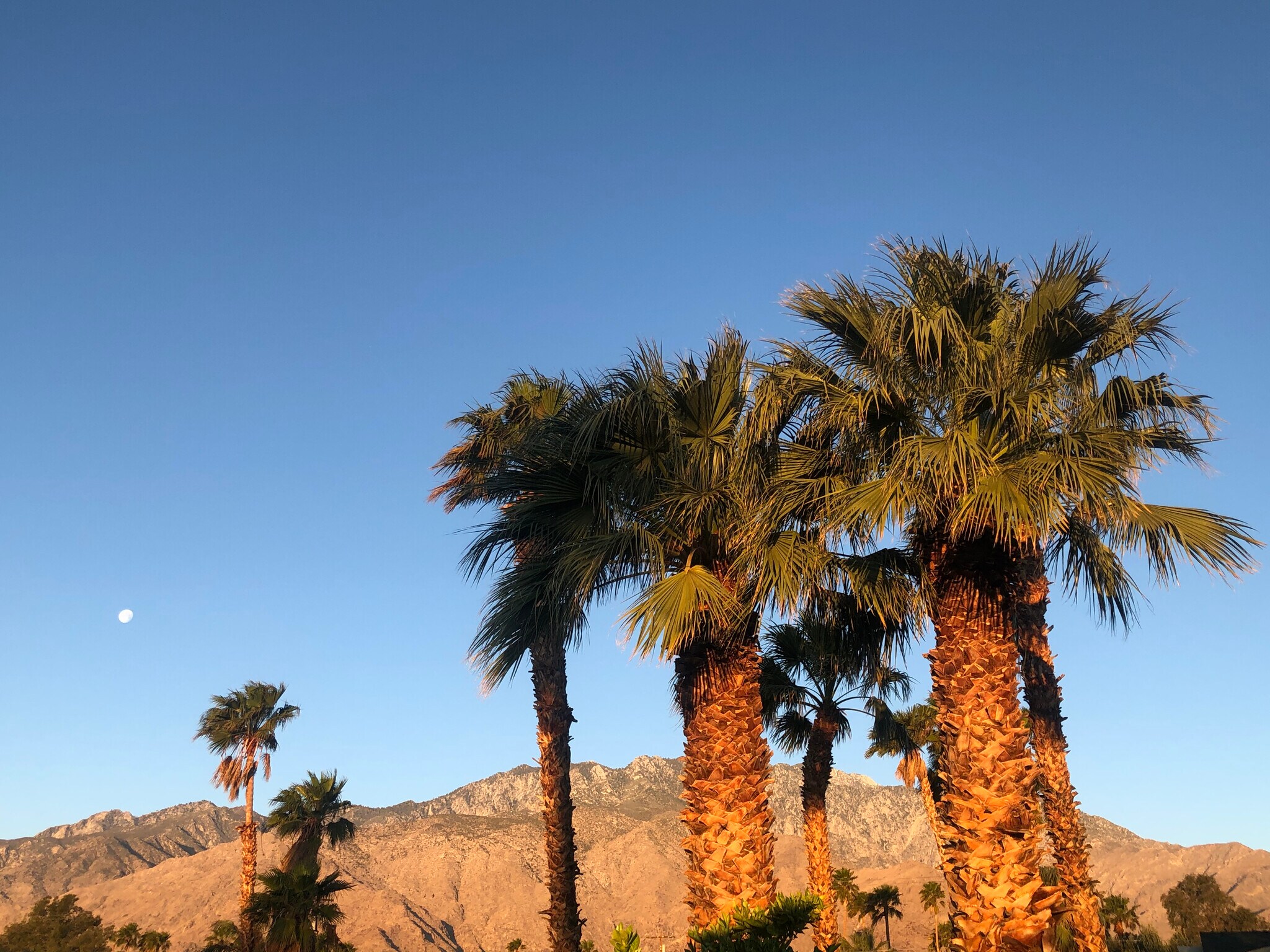 Building Photo - 2872 E Ventura Rd