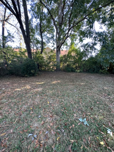 Building Photo - 346 S Skyline Dr