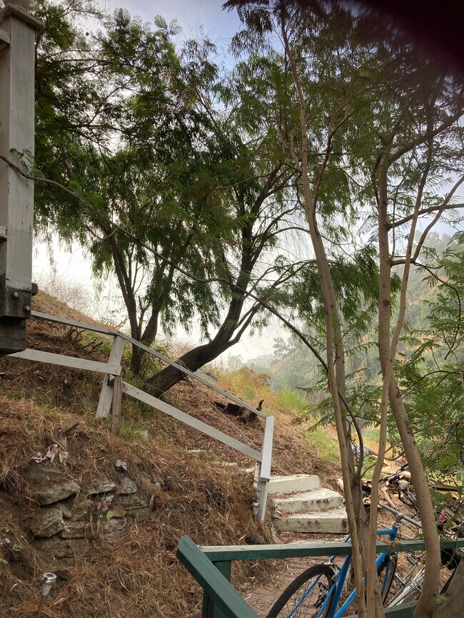 Building Photo - 2252 Laurel Canyon Blvd