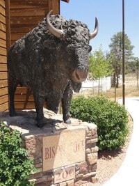 Building Photo - Bison Cove C8 ~ 2 bed / 2 bath
