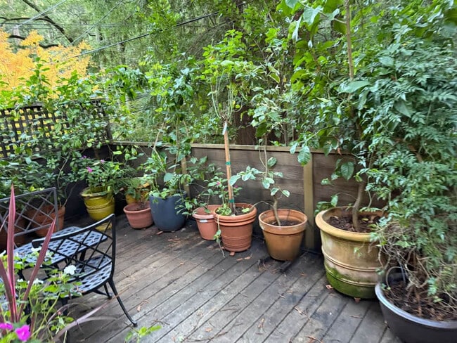 Building Photo - 522 Cascade Dr