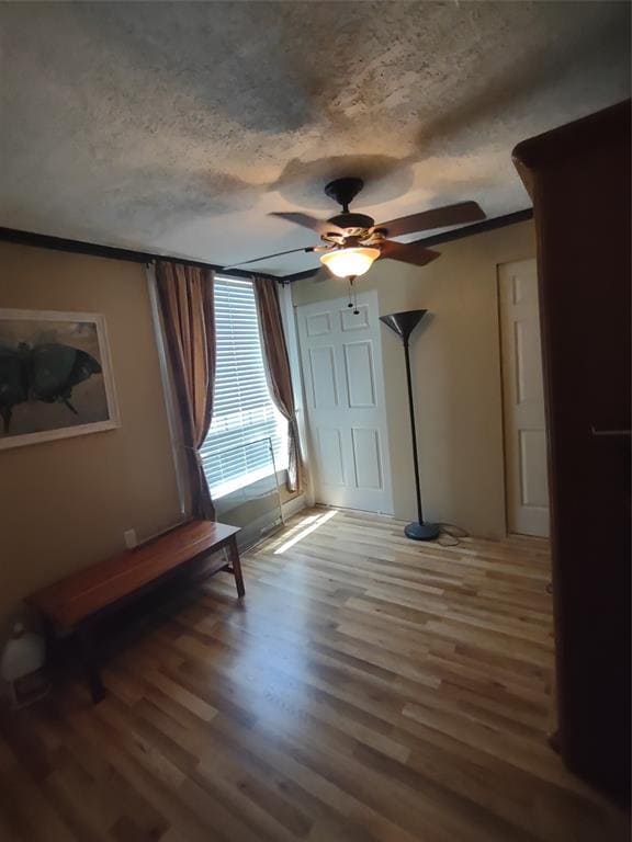 Building Photo - 3127 Avenue Q