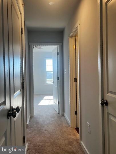 Building Photo - 140 Olga Dr