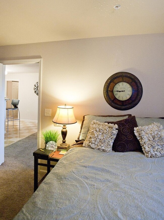 CEV Murray North Murray, KY Apartment Finder