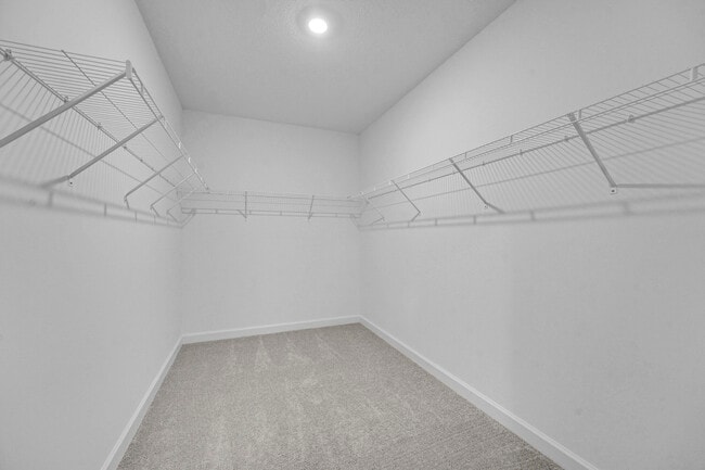 Building Photo - 3492 Cedar Grove Drive