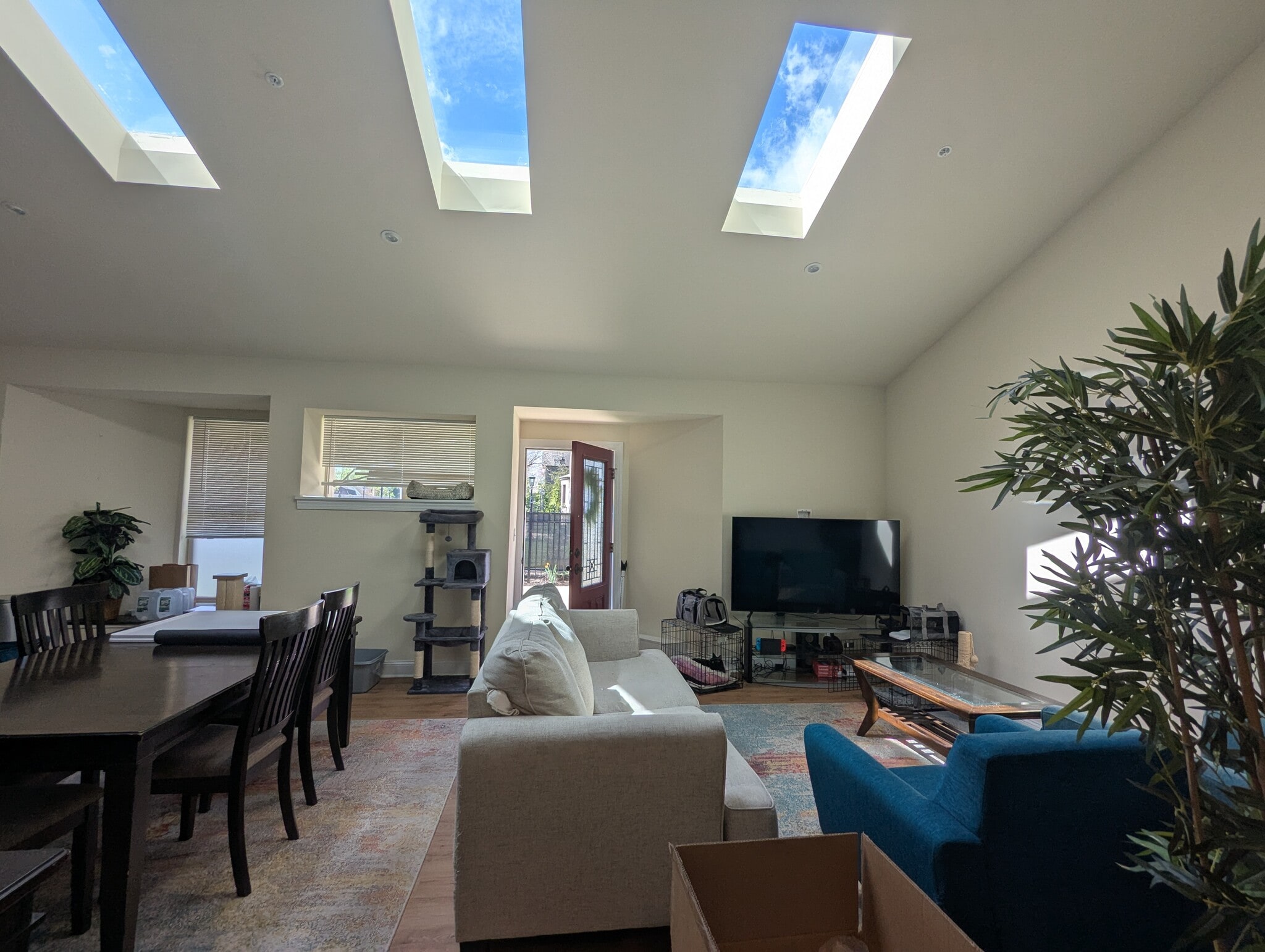 View to Front Door with Skylights - 225 W Pastorius St