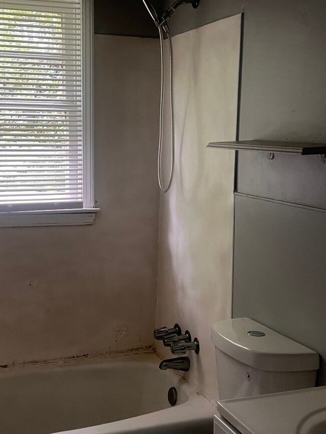Building Photo - Two bedroom /One bath house
