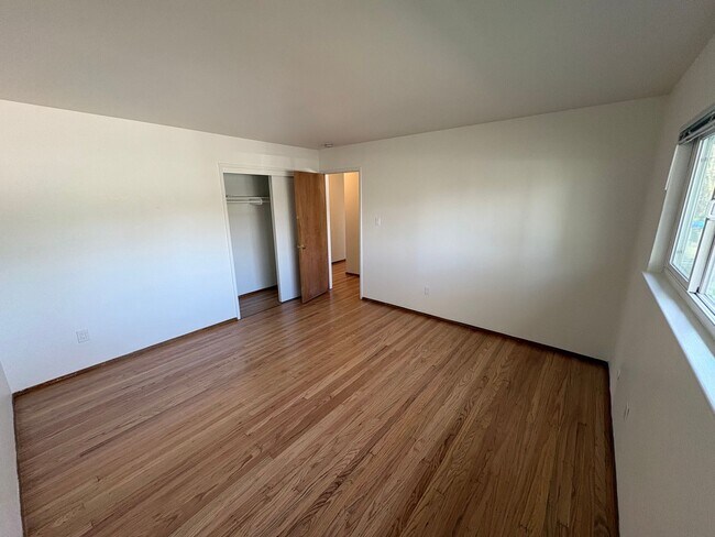 Building Photo - 537fst