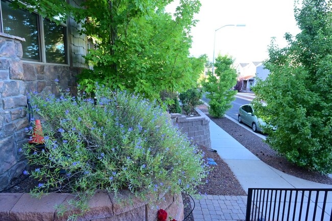 Building Photo - 2943 S Pardo Calle