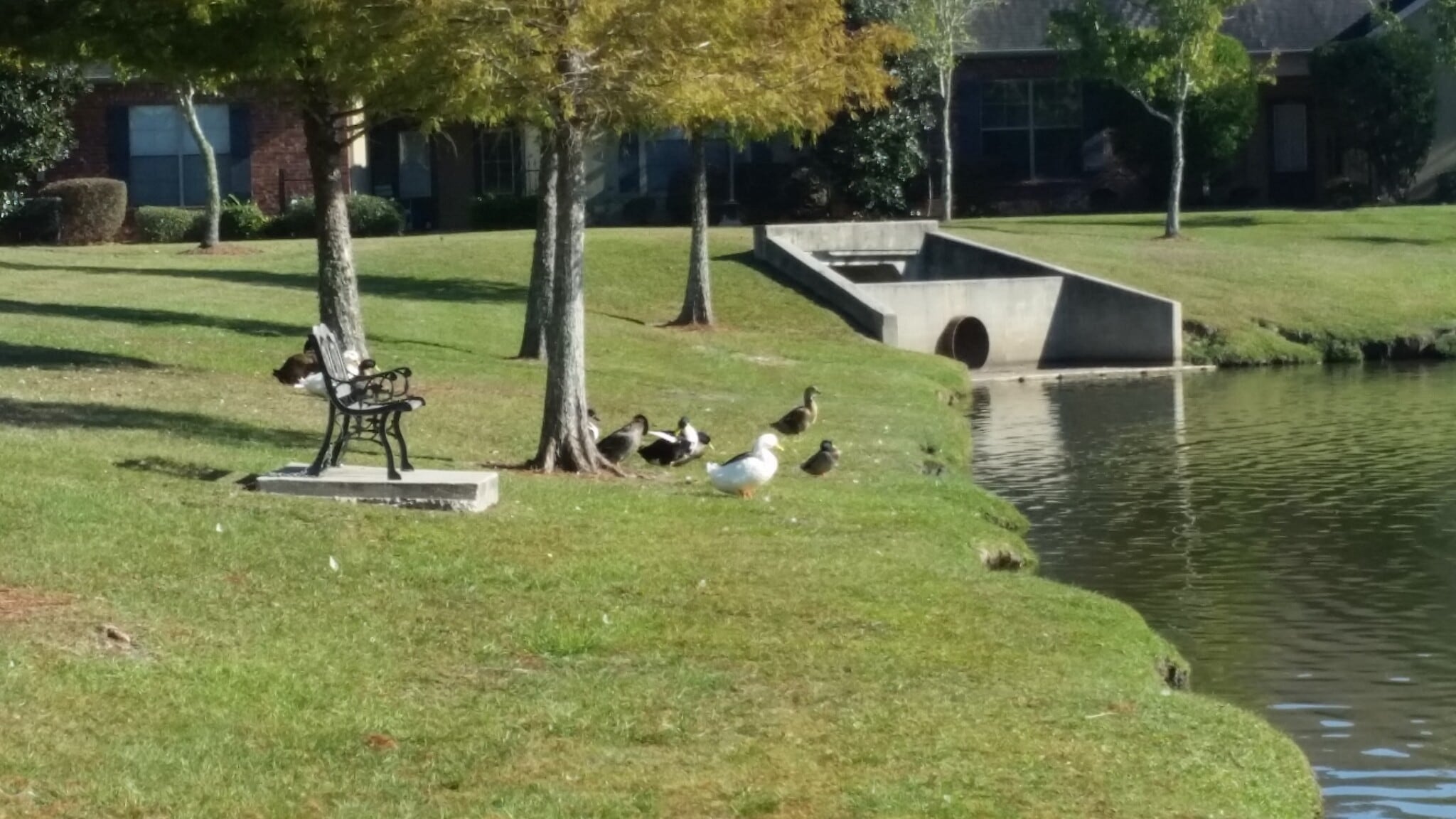 Building Photo - 809 Summer Breeze Dr