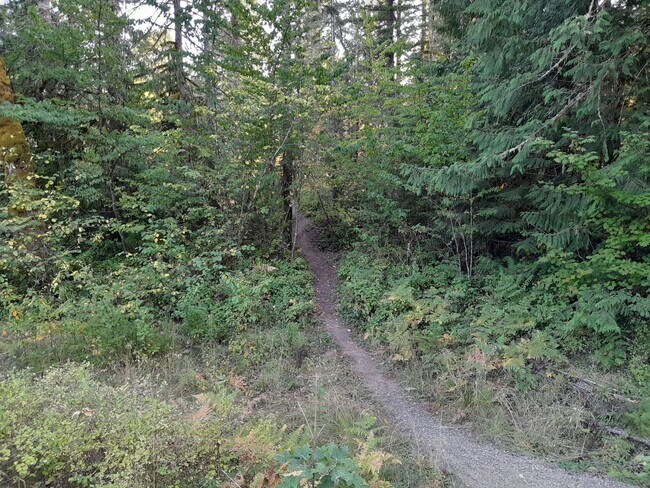 Building Photo - 1/2 off 1st Month's Rent ! Country Setting Single Wide Manufactured Home Silverbrook RV Park