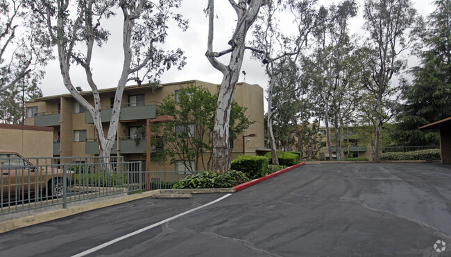 Building Photo - Sycamore Terrace