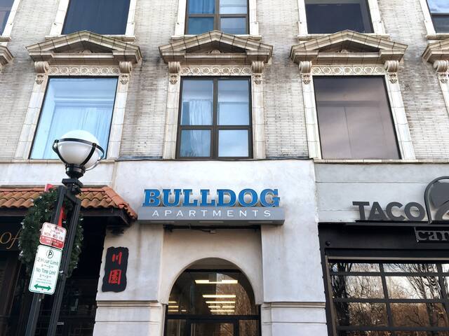 Primary Photo - Bulldog Apartments