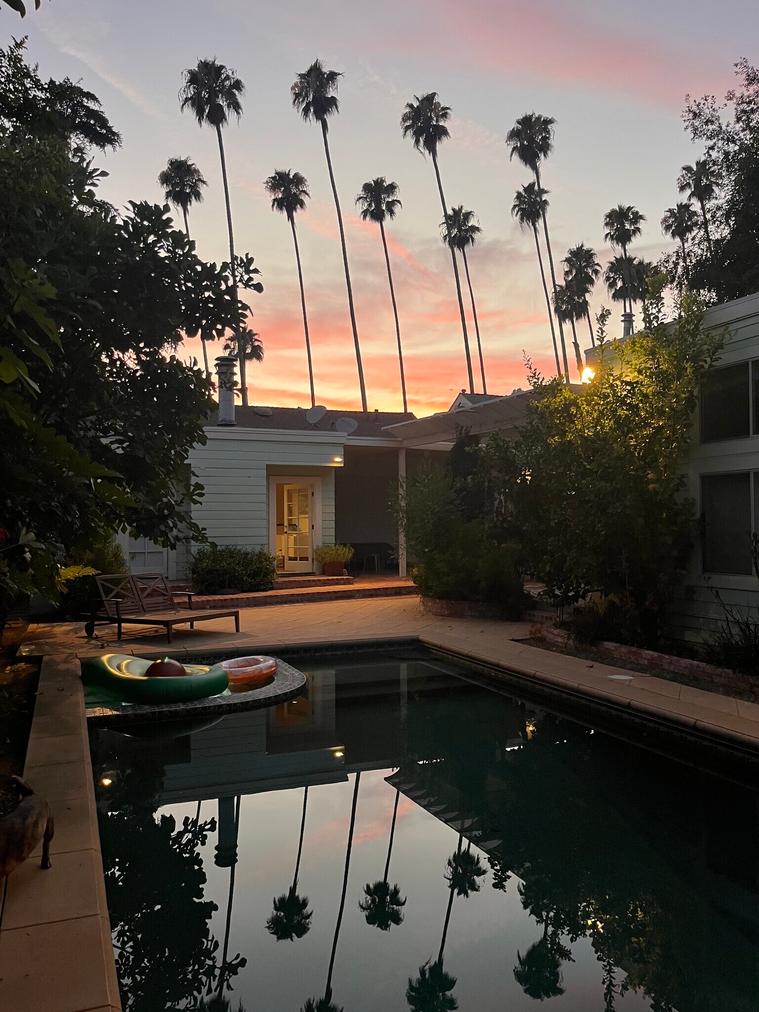 Sunset View of Palm Trees from Backyard - 1622 N Sierra Bonita Ave