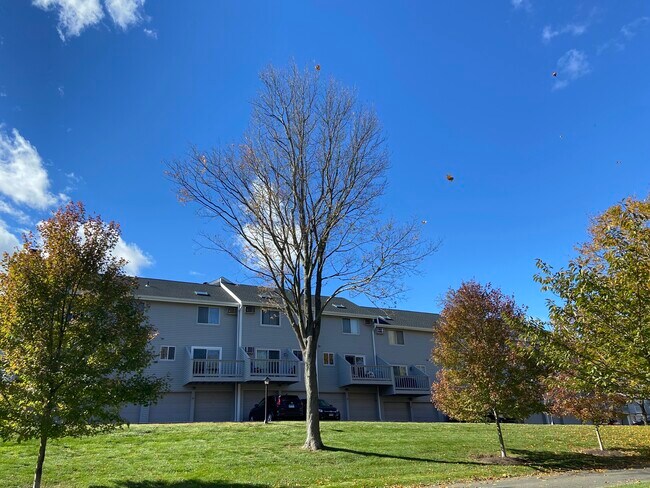 Building Photo - 151 Shelter Rock Rd