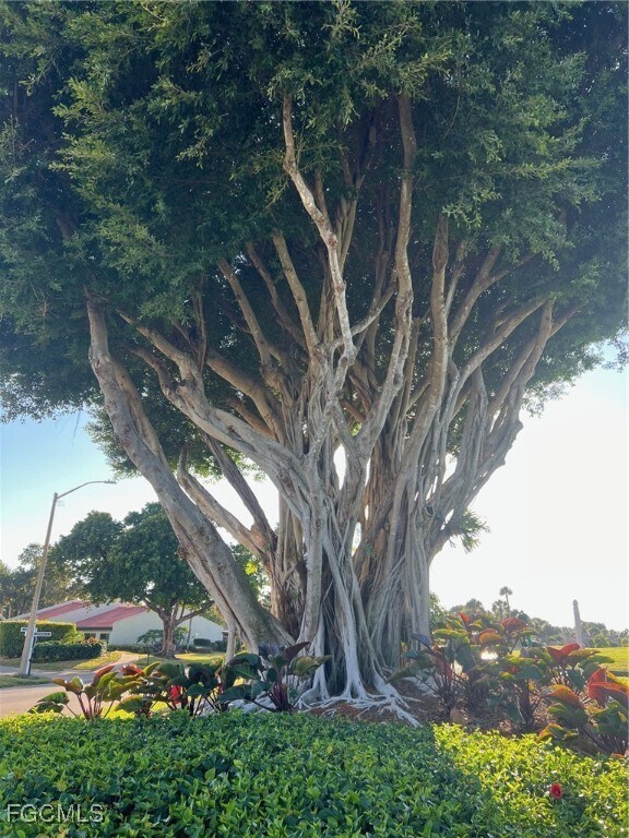Building Photo - 4100 Steamboat Bend E
