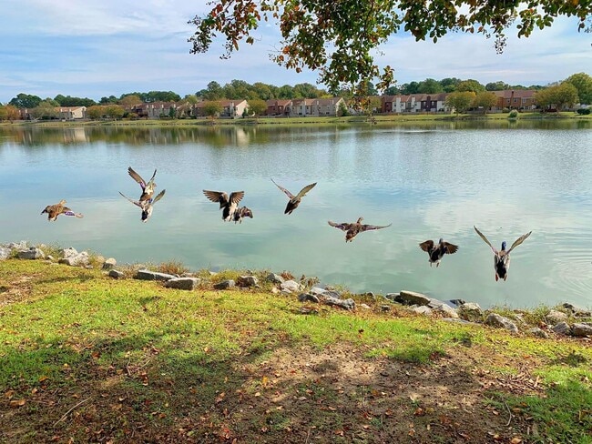 Building Photo - 3-Bedroom Townhome Ready NOW!! Completely Updated - Fenced Backyard - Exterior Storage!