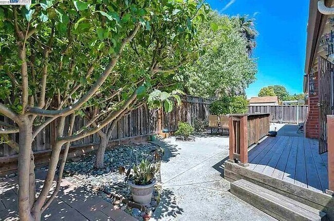 Building Photo - 36264 Brighton Ct