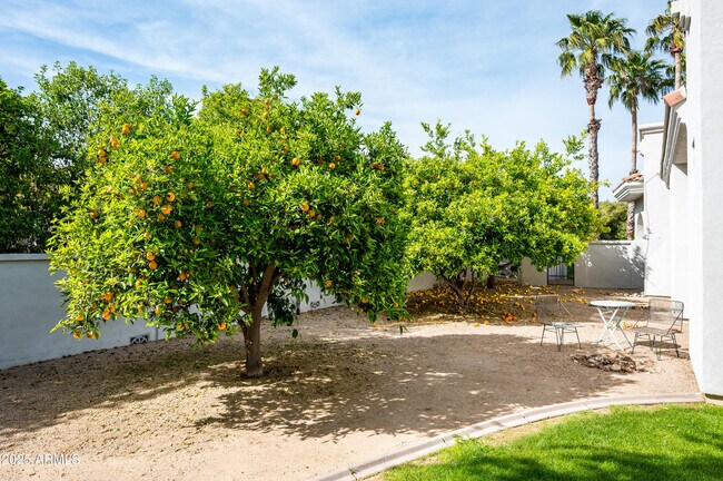 Building Photo - 6649 E Berneil Dr