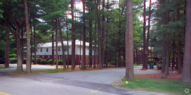 Parking Area - Pine Tree Gardens