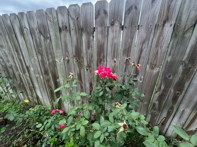 Building Photo - 21839 Manitou Falls Ln