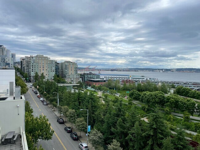 Building Photo - 1Bd/1Ba Seattle Condo