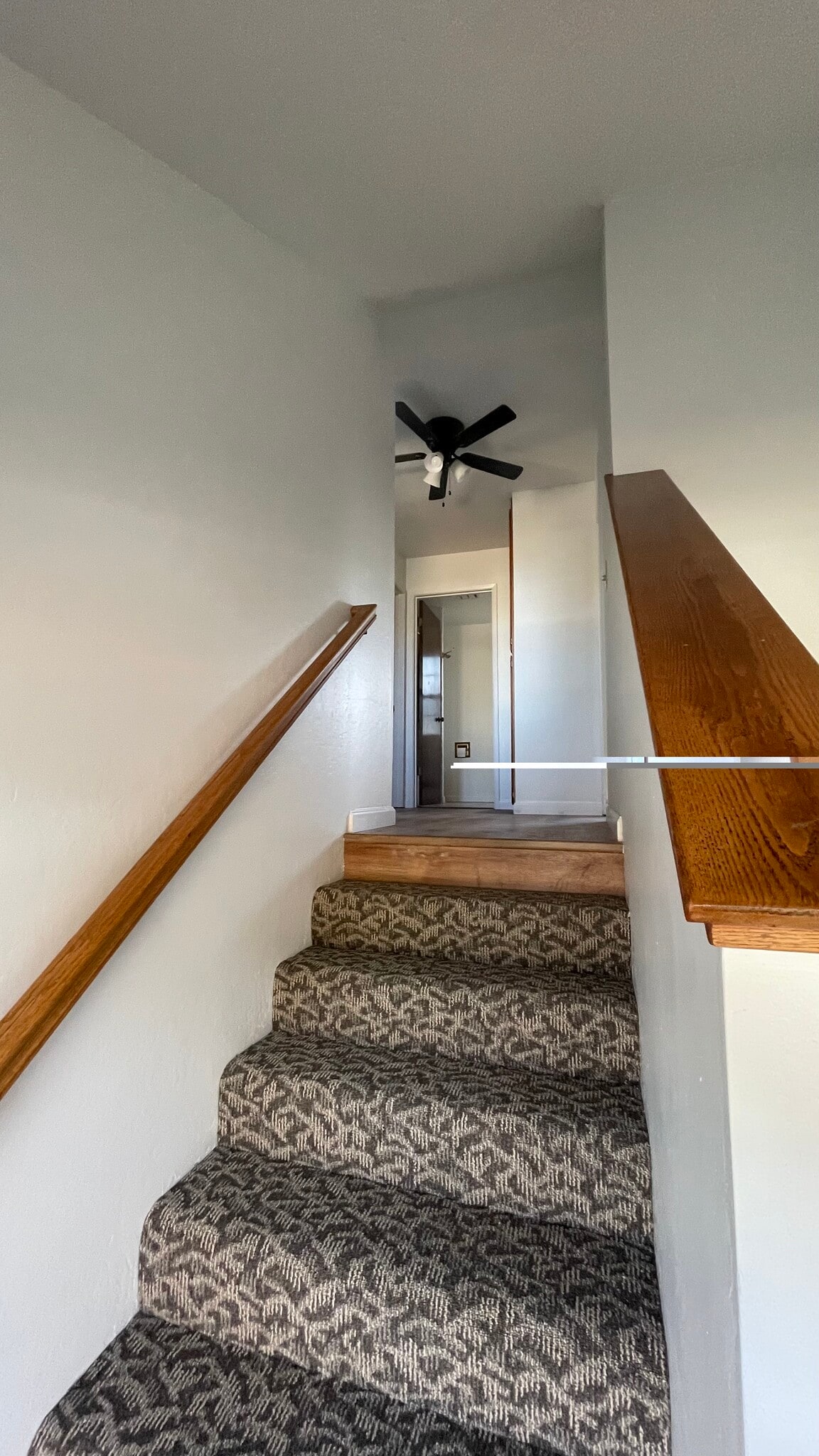 stairs with new carpet - 711 Hanover St