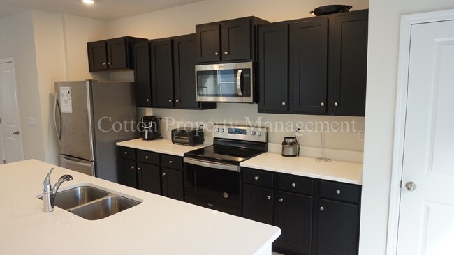Building Photo - Beautiful, recently constructed 3BR/2.5BA ...