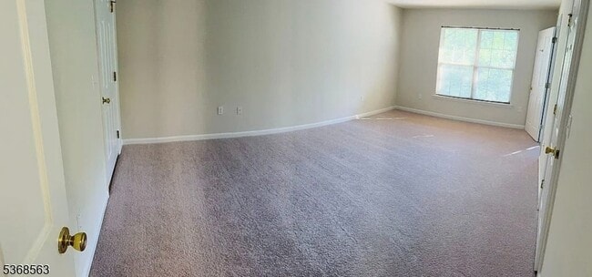 Building Photo - 236 Pinelli Dr