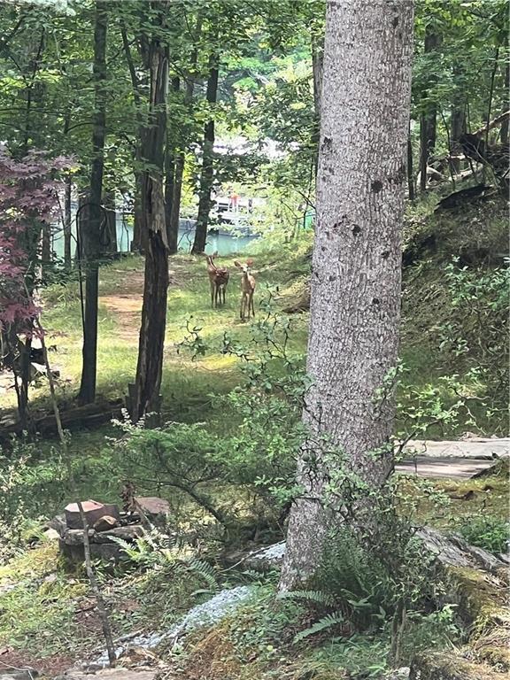 Building Photo - 3473 McKenzie Dr