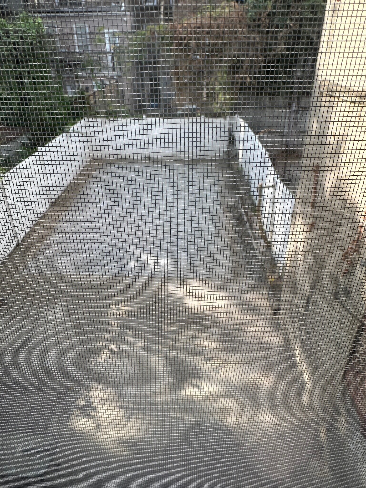 Building Photo - 625 Willoughby Ave
