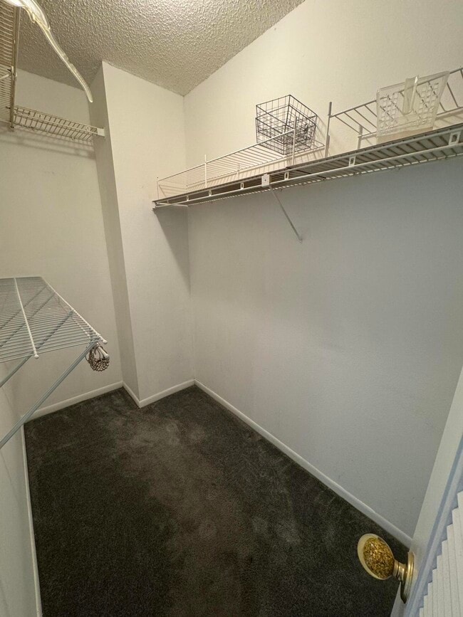 Building Photo - 4990 E Sabal Palm Blvd