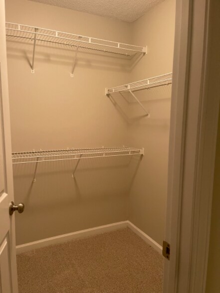 Building Photo - 4881 Beech Tree Dr SE