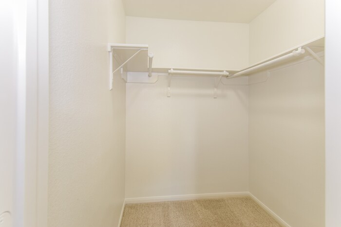 Building Photo - 5047 Gulf Stream Ln