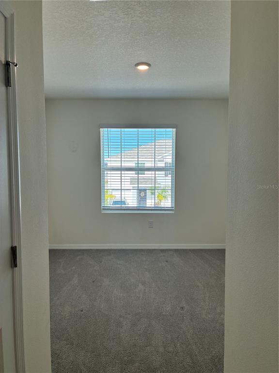 Building Photo - 32348 Turtle Grace Lp