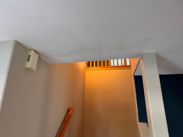 Building Photo - 415 Louis Ln